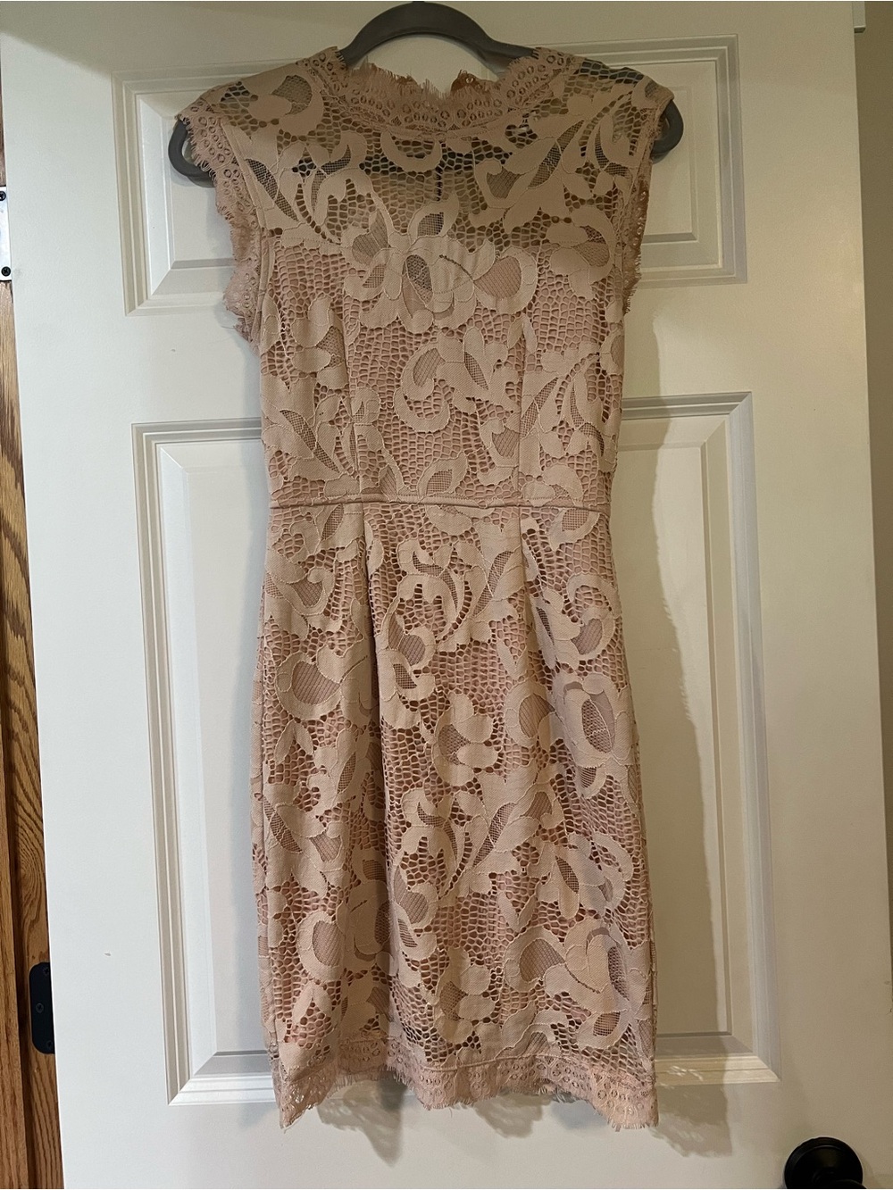 Sans Souci Blush Lace Cap-Sleeve Formal Dress
